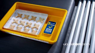 Son dakikada da olsa ucuza bilet mümkün mü?