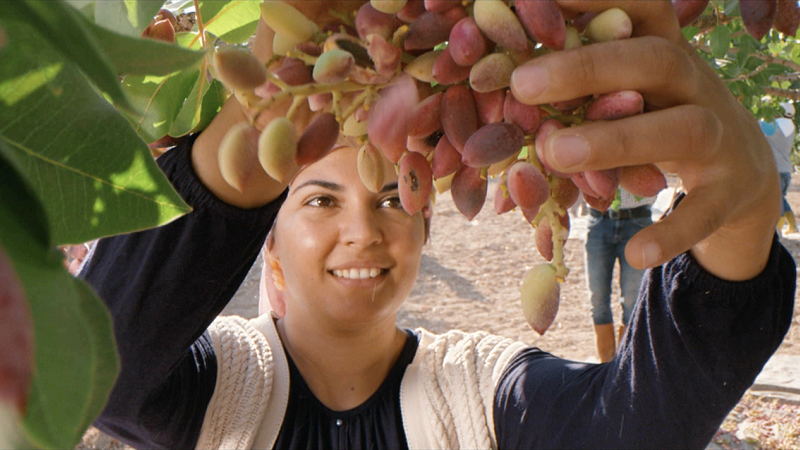 Bir "Adamak" hikâyesi