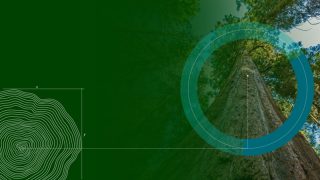 Markaların hızlı büyüme sırrı: "Amaç"