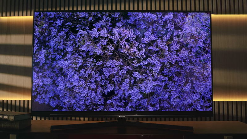 yaşamın tüm renkleri ekranda buluşuyor