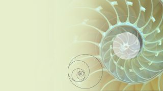 2022'nin pazarlama trendleri: Akıllı - yaratıcı motoru geliştirmek