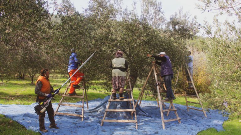 Facebook ve WhatsApp’a Türk yargısından kötü haber – Son 24 saatin gündemi