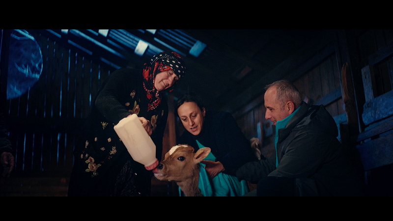 Bir birikim hikâyesi... Bir birikim hikâyesi...