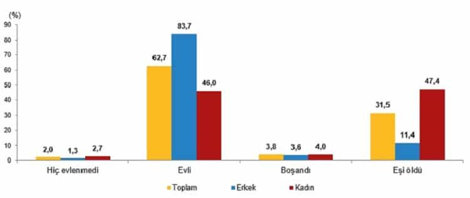 Dikkat bir klişe çöküyor: Türkiye yaşlanıyor! Dikkat bir klişe çöküyor: Türkiye yaşlanıyor!