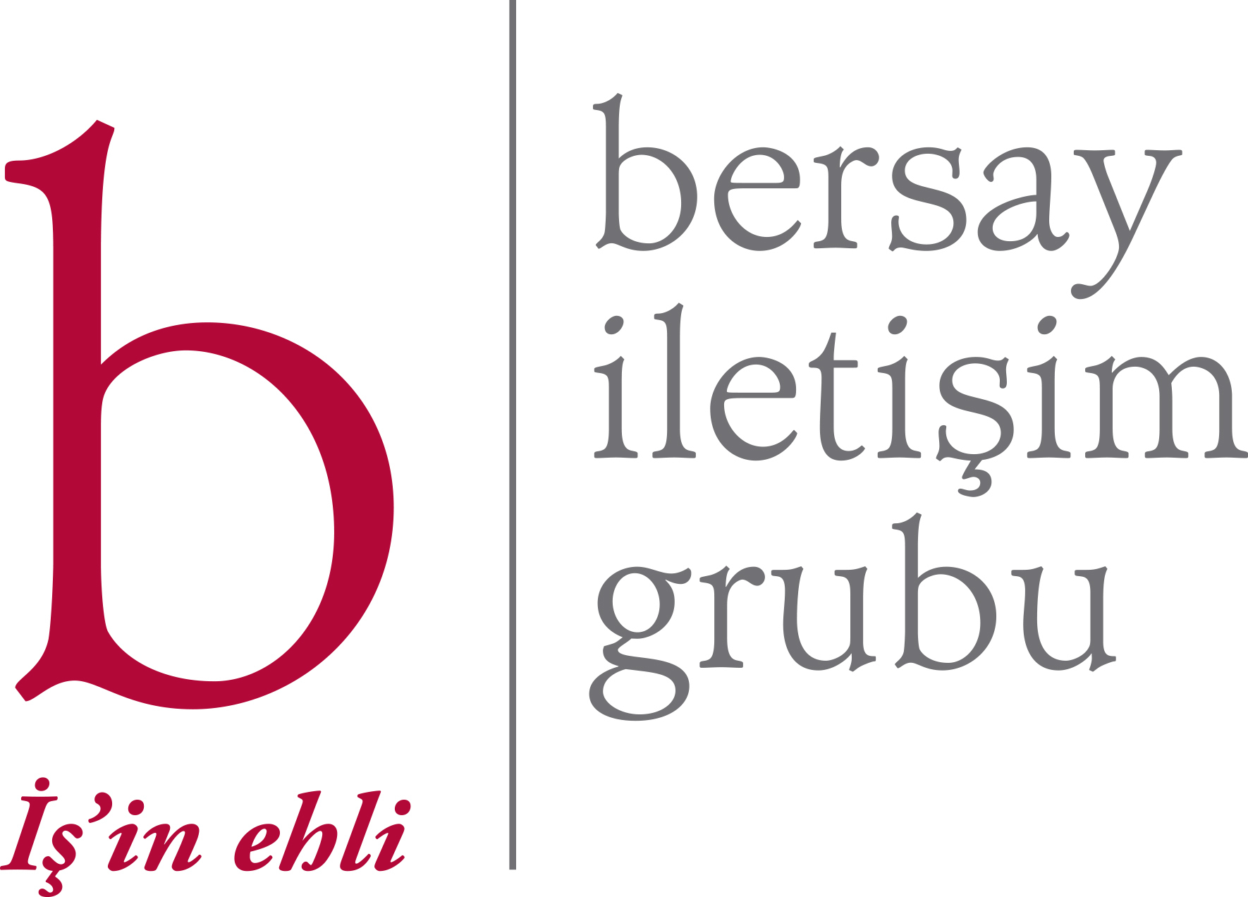 Yardımcı Danışman