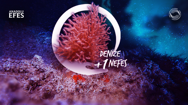 Anadolu Efes’ten denize +1 nefes!