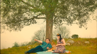 Ağaçlarımız şarkılarda kalmasın