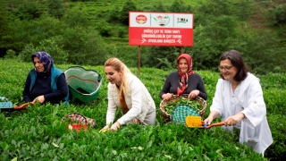 Her Dem Toprak projesi