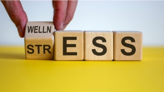 İyi hissetmek çok mu pahalı?