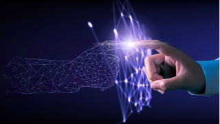 Sanal bebekler metaverse ile geri dönüyor