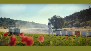 Ziraat Bankası'ndan 3 yeni reklam filmi!