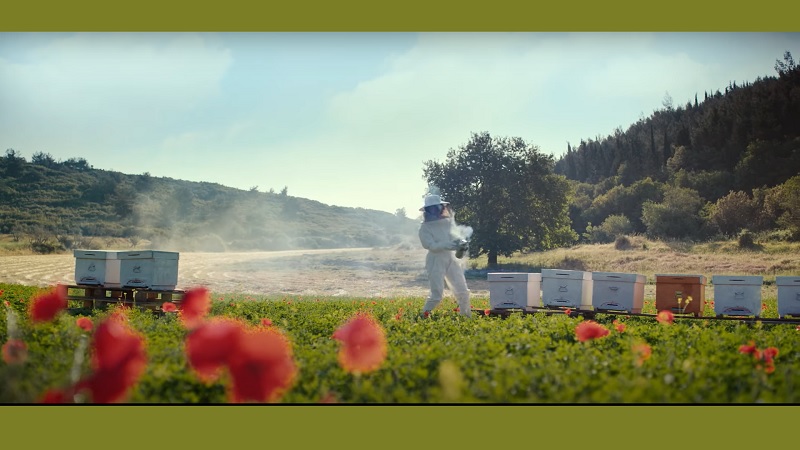 Ziraat Bankası'ndan 3 yeni reklam filmi!