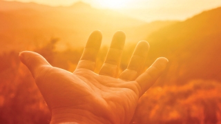 P&G'de büyümenin formülü net: İyilik