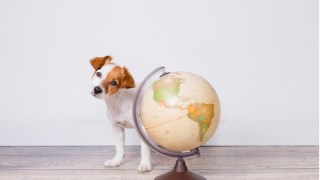 Havrita'ya ulaşılamıyor