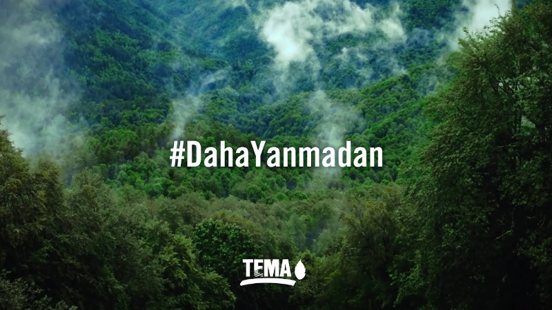 "Ormanlar şarkılarda kalmasın" tema-orman