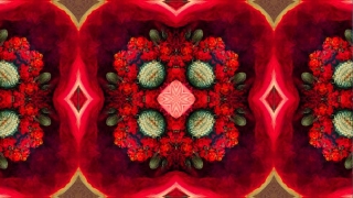 Frida Kahlo insan hücrelerini nasıl resmederdi?