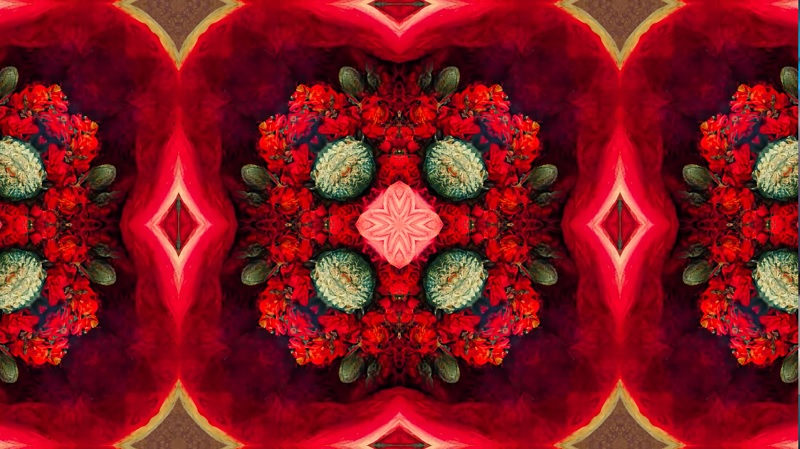 Frida Kahlo insan hücrelerini nasıl resmederdi?