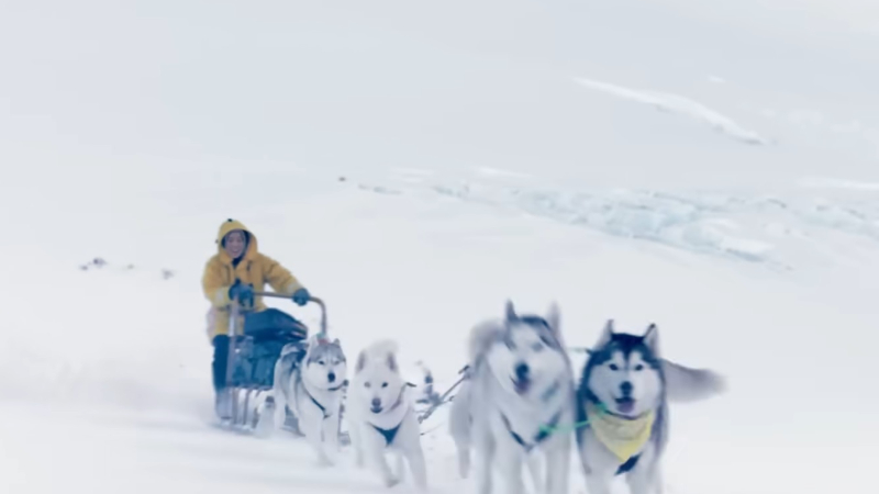 Şehirden kutuplara anında yolculuk Şehirden kutuplara anında yolculuk