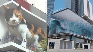 Açıkhava reklamları izleyenleri hipnotize ediyor