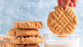 Bisküvi araştırması