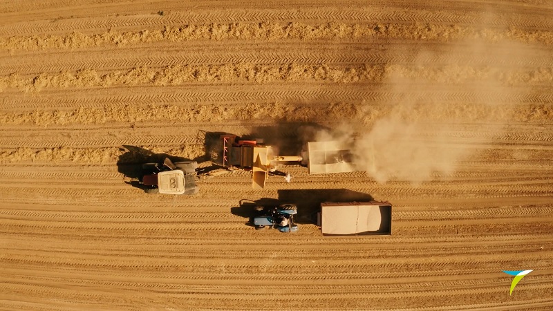 Tiryaki, 5 farklı filmle hasat zamanını kutladı! Tiryaki, 5 farklı filmle hasat zamanını kutladı!