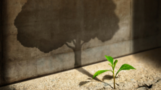 Sosyal girişimciliğin etki alanı