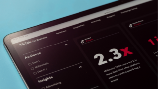 TikTok reklam modelleri
