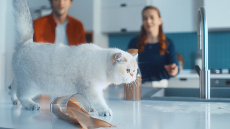 Domestos mutfaklara gelince ne olacak? Domestos mutfaklara gelince ne olacak?