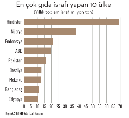 Gıdanın koruyucuları