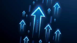 Türkiye'nin lider markaları