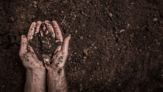 Toprağın değerini bilen markalar