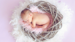 Barbie nüfusu artacak