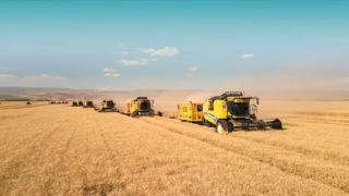 Hasat zamanı, bayram zamanı!