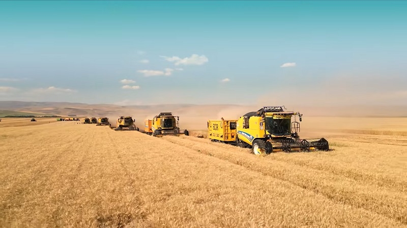 Hasat zamanı, bayram zamanı! Hasat zamanı, bayram zamanı!