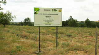 Sneaks Up'ta hedef daha yeşil bir dünya