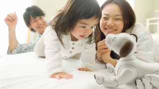 Sony, robotları için "Koruyucu Aile Programı" başlatıyor