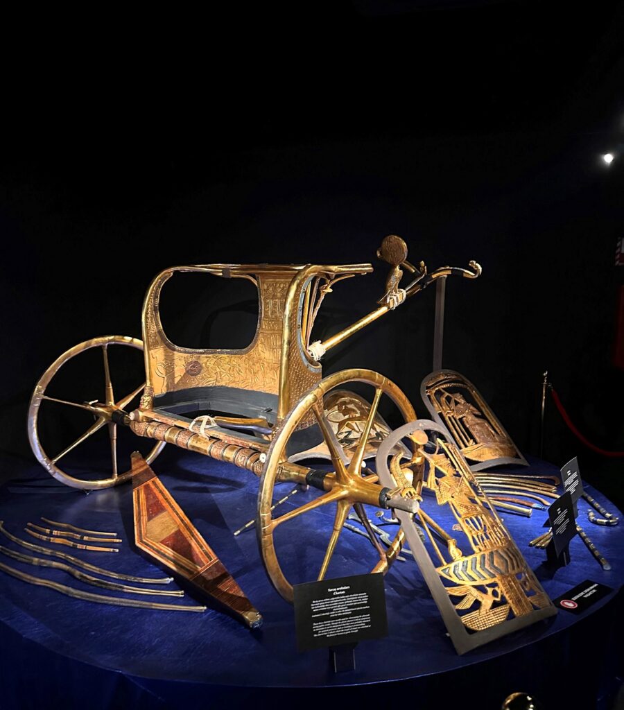Gizemli Firavun TutAnkhAmun’un Hazineleri, İstanbul Akvaryum Etkinlik Merkezi’nde sergileniyor Gizemli Firavun TutAnkhAmun’un Hazineleri, İstanbul Akvaryum Etkinlik Merkezi’nde sergileniyor