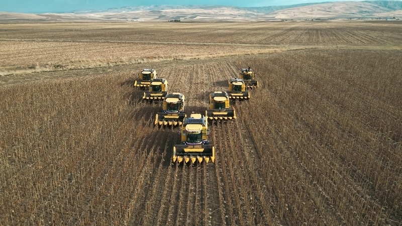 Biri bin edenler için hasat zamanı! Biri bin edenler için hasat zamanı!