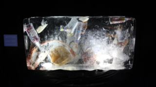 Hilton İstanbul Bomonti Hotel & Conference Center'dan sürdürülebilirlik çağrısı