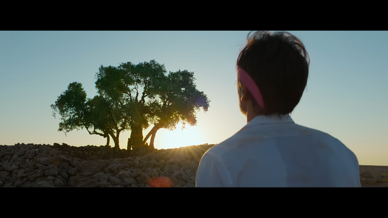 Her ağaç aslında bir “son ağaç” Her ağaç aslında bir “son ağaç”