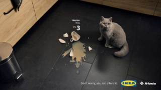 IKEA'dan hayvanseverlere mesaj var: "Acınızı paylaşıyoruz!"