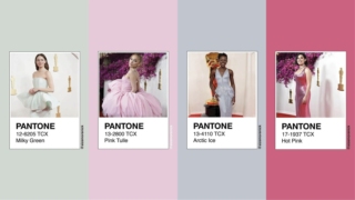 Oscar look Pantone