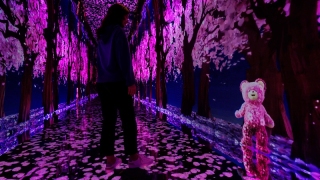 Yumoş'tan tüm duyulara hitap eden bir iletişim çalışması: “Yumoş Sakura Tüneli”