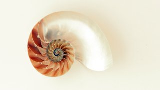 Gerçekleri en çok kendimizden saklıyoruz!