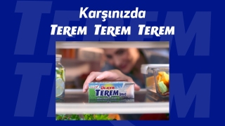 Yaratıcı İşler