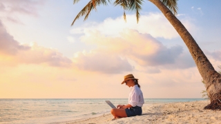 Güneşin tadını çıkaran şirketler