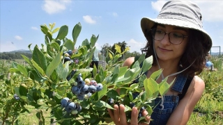 Migros, Eda'nın sesini duydu!