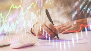 Kurumsallaşmada derin sulara yolculuk: Halka arz ve organizasyon yapısına etkisi