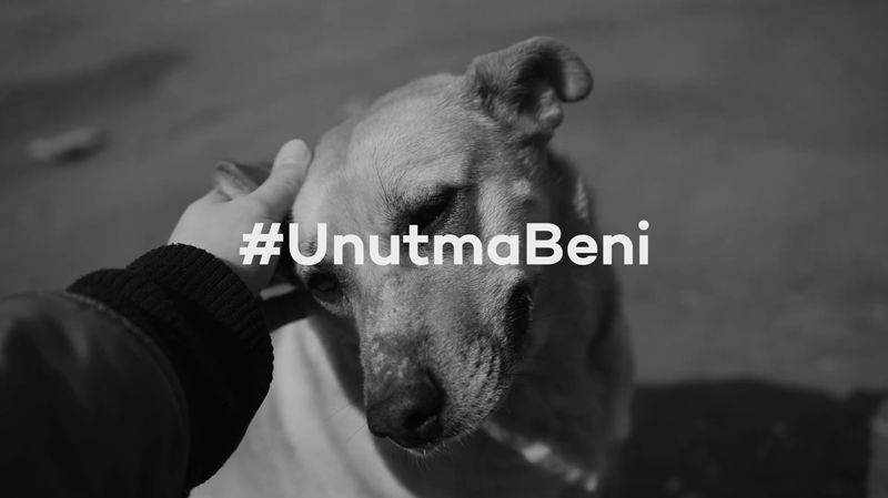 Unutma, uyutma... Çünkü uyutmak öldürmek demek! Unutma, uyutma... Çünkü uyutmak öldürmek demek!