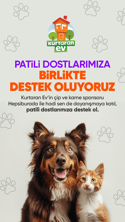Patili dostların gününü sevgiyle kutlayan markalar... Patili dostların gününü sevgiyle kutlayan markalar...